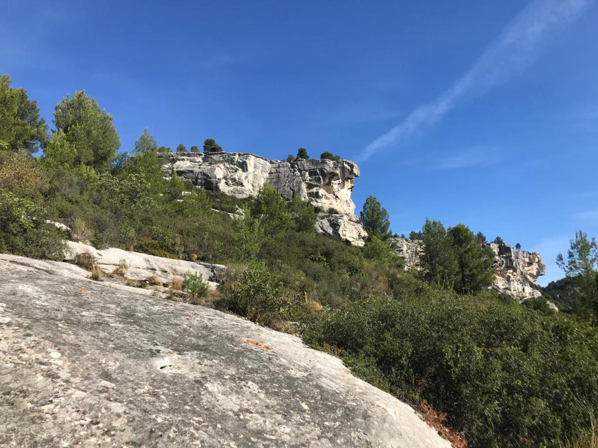 莱博德普罗旺斯Mas De La Fadeto住宿加早餐旅馆 外观 照片